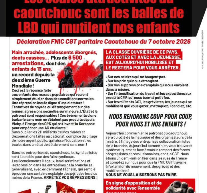 circulaire branche caoutchouc Les seules attractivités du caoutchouc sont les balles de LBD qui mutilent nos enfants